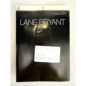 Lane Bryant Daysheer Pantyhose Size A Black Hosiery Invisible Reinforced Toe NEW